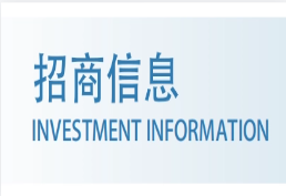 招商信息